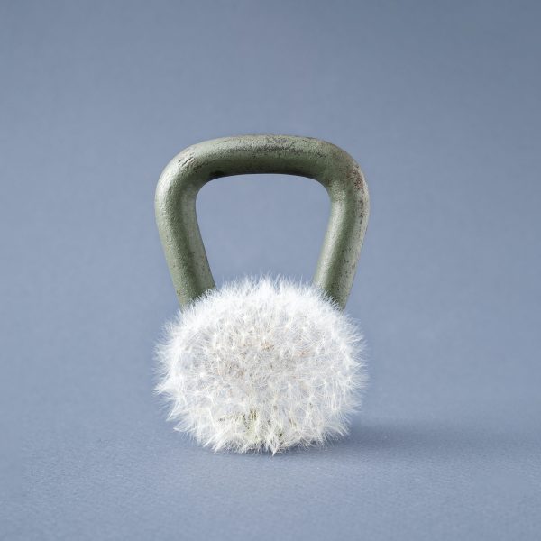 Sports heavy kettlebell along with a light white dandelion